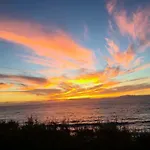 Ocean View Palm-mar